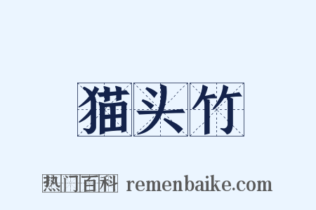 猫头竹是什么意思的图片